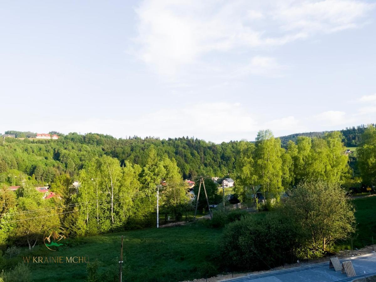 Apartamenty "Kwiaty Nocy" I "W Krainie Mchu" - Wisła Εξωτερικό φωτογραφία